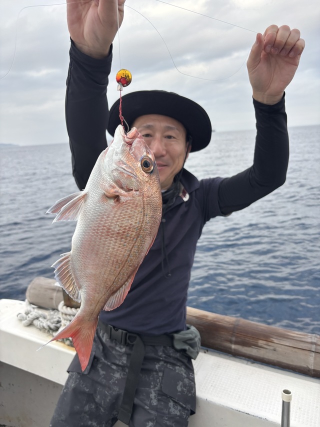 マダイ