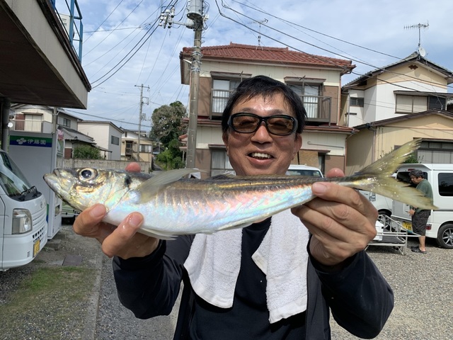 アジ(マアジ)