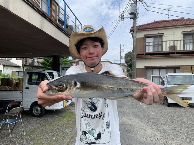 アジ(マアジ)