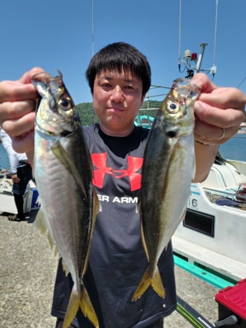 アジ(マアジ)