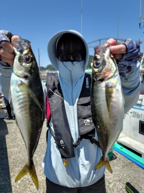 アジ(マアジ)