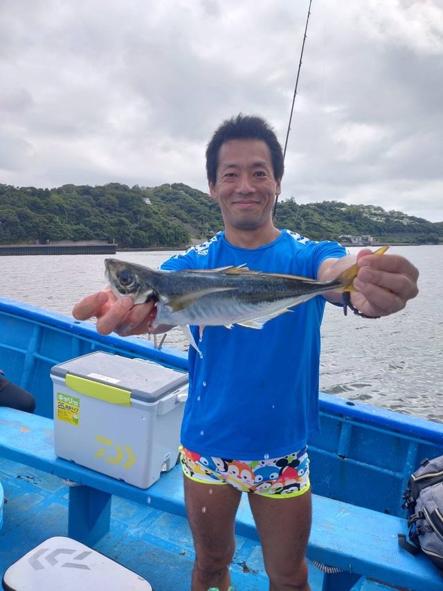 アジ(マアジ)