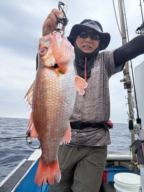 アカムツ