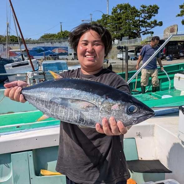 相模湾（神奈川県）で釣れたキハダの最新釣果、釣り情報【2026年7月】