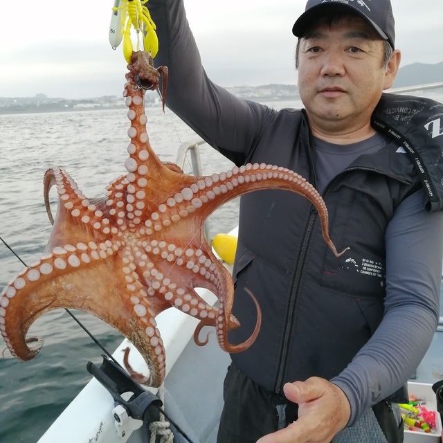 タコ(マダコ)