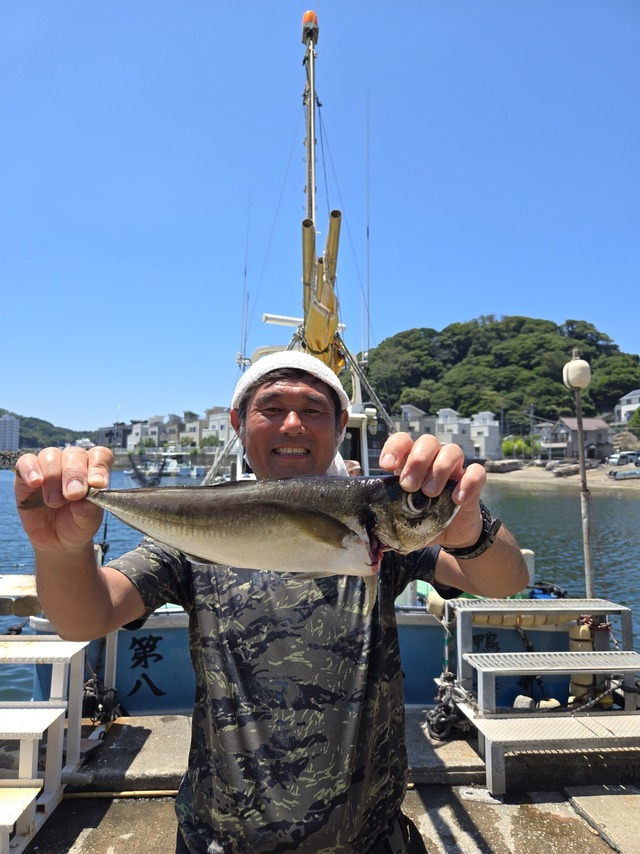 アジ(マアジ)