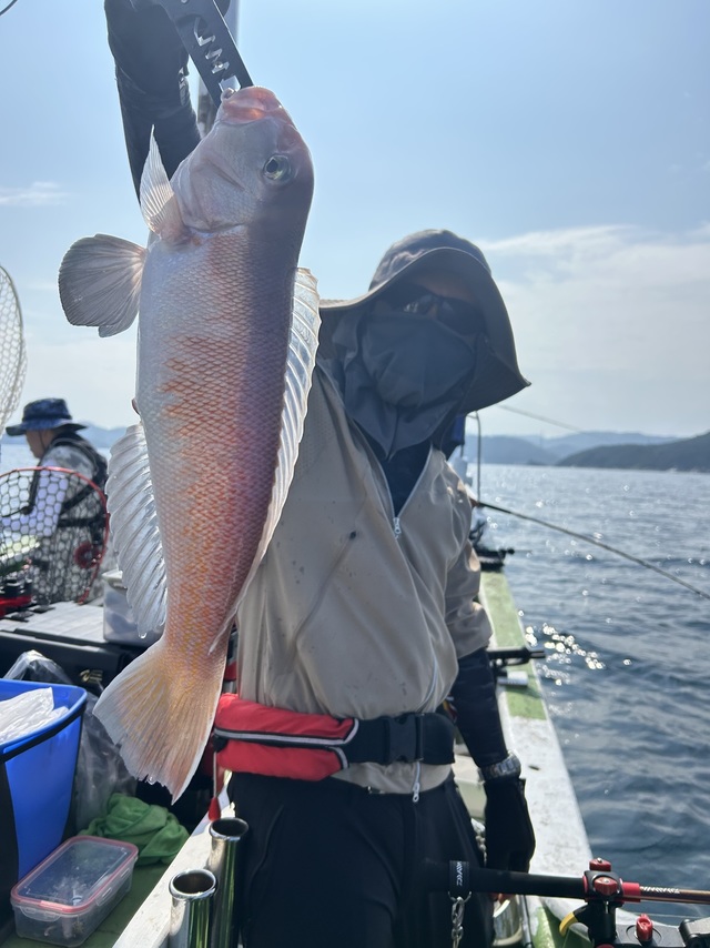 シロアマダイ