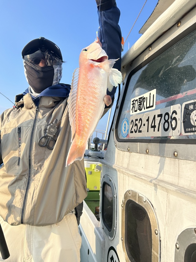 シロアマダイ