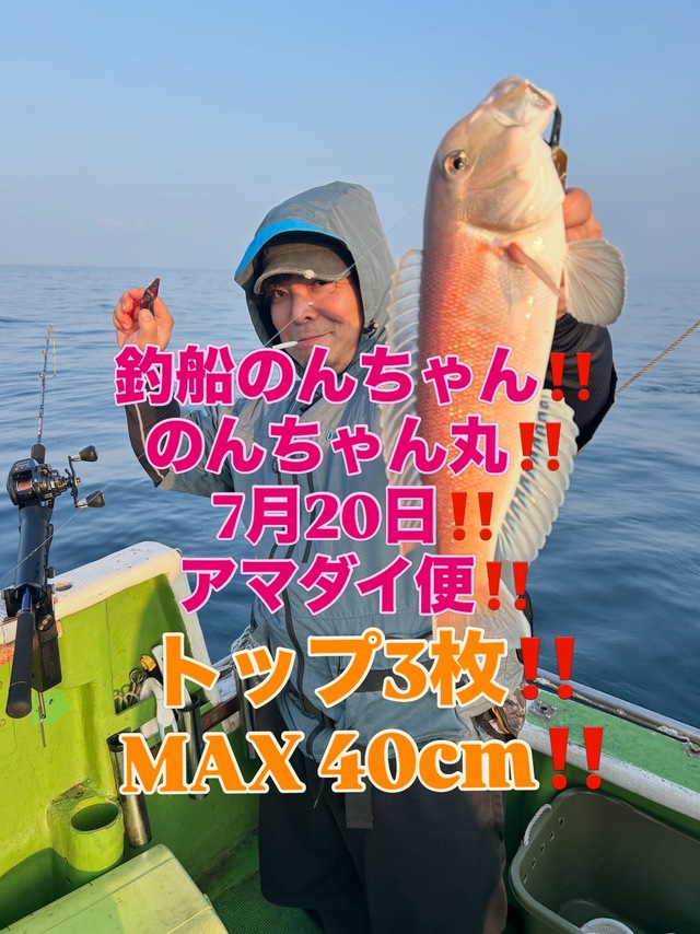 シロアマダイを関西で釣った最新釣果、釣り情報【2026年7月】