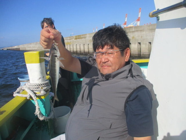 アジ(マアジ)