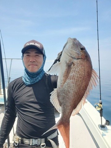 マダイ