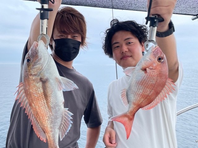 マダイ