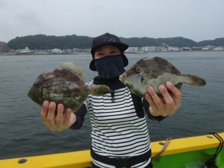 カワハギ
