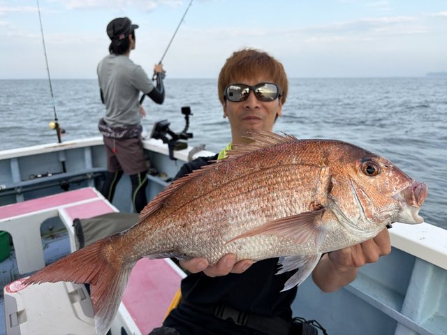 マダイ2.60kg！3匹！の釣果｜2026年7月21日｜梅花丸（千葉/飯岡港 ）｜釣割