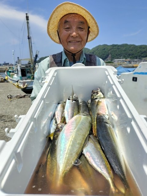 アジ(マアジ)