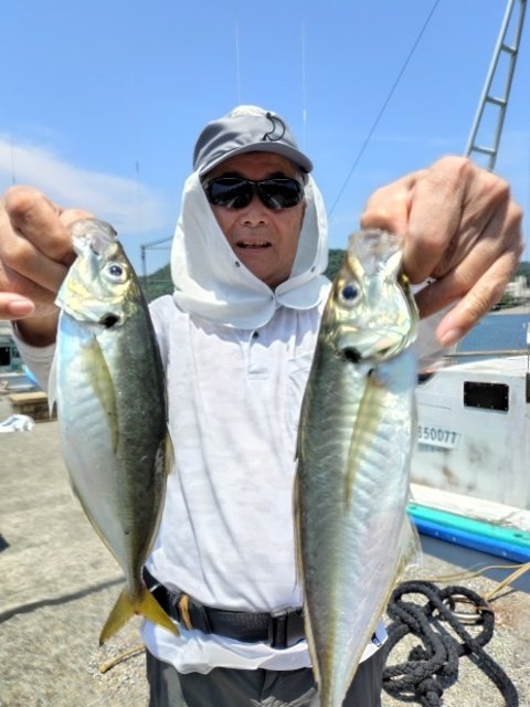 アジ(マアジ)