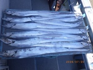 タチウオ