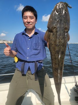 マゴチ