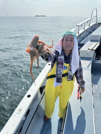 マダコ