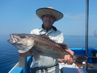 アラ