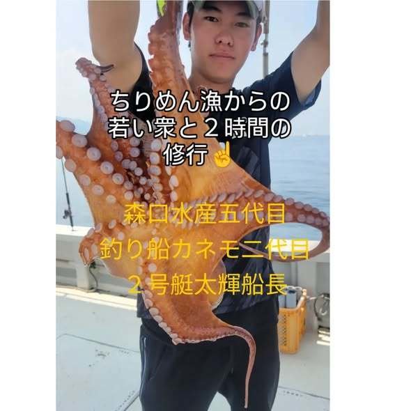 マダコ