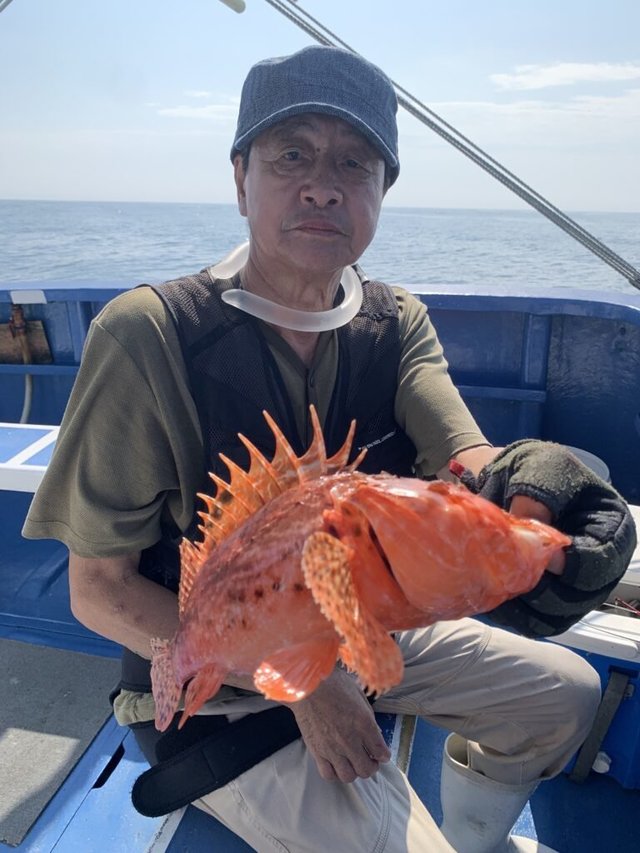 オニカサゴ