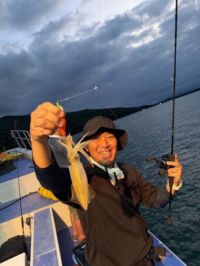 マルイカ(ケンサキイカ)