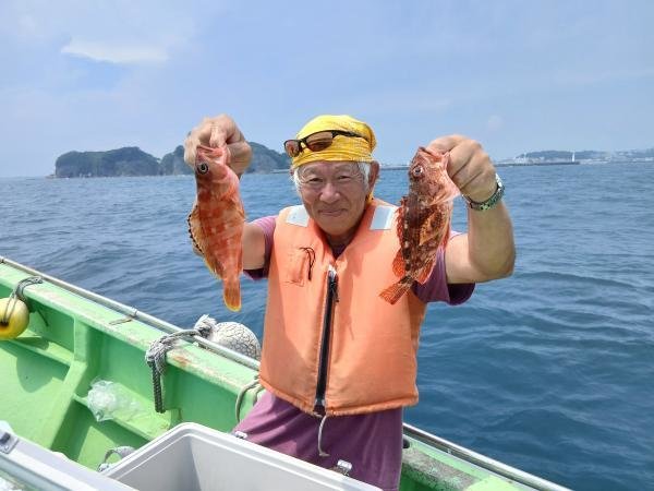 カサゴ