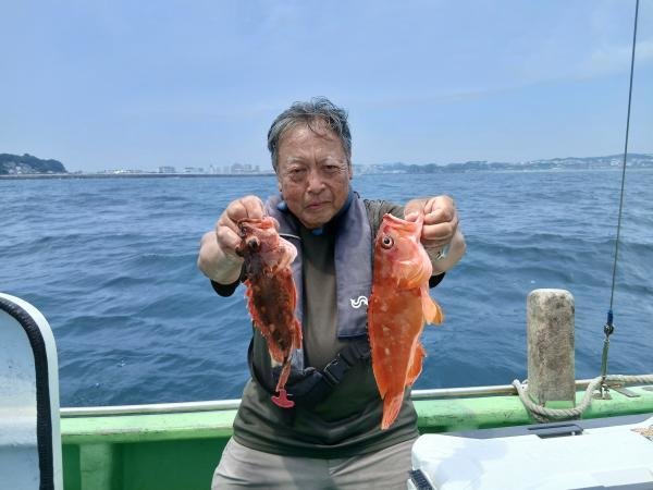 アカハタ・カサゴ