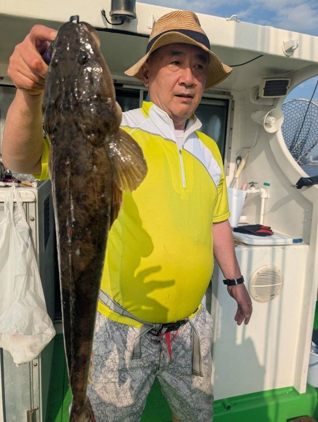 マゴチ