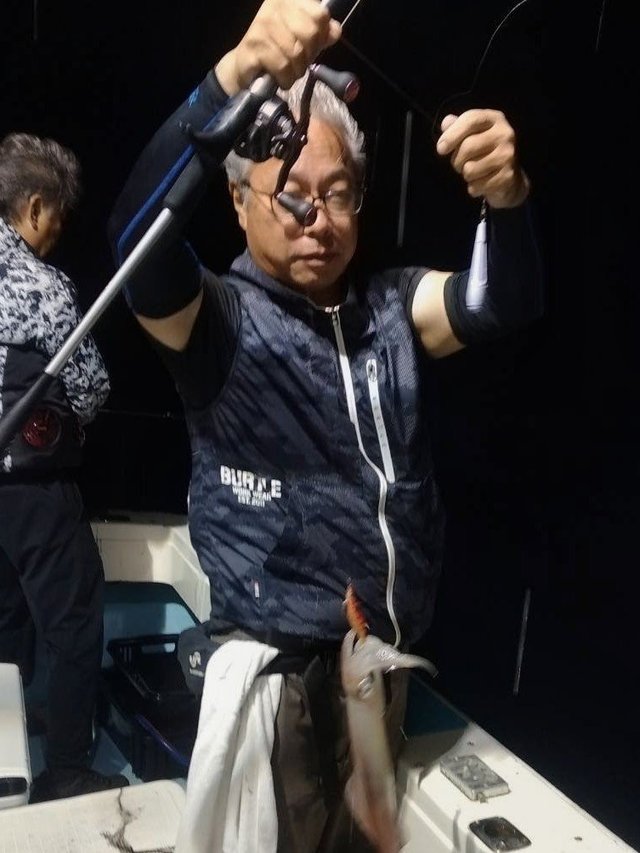 ヤリイカ