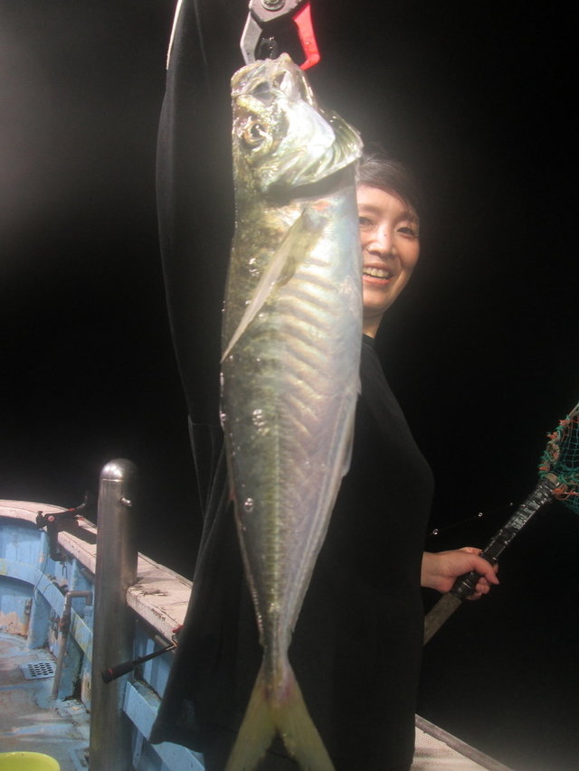 アジ(マアジ)