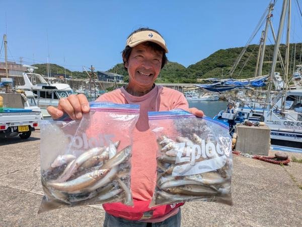シロギス