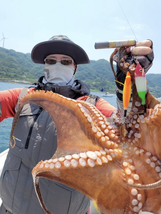 タコ(マダコ)