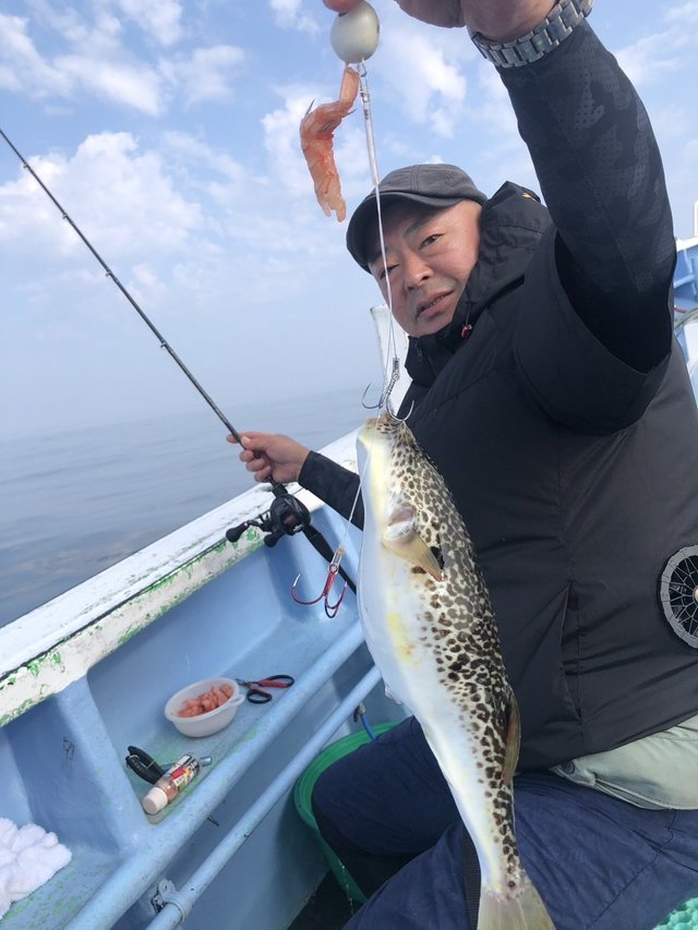 ショウサイフグ