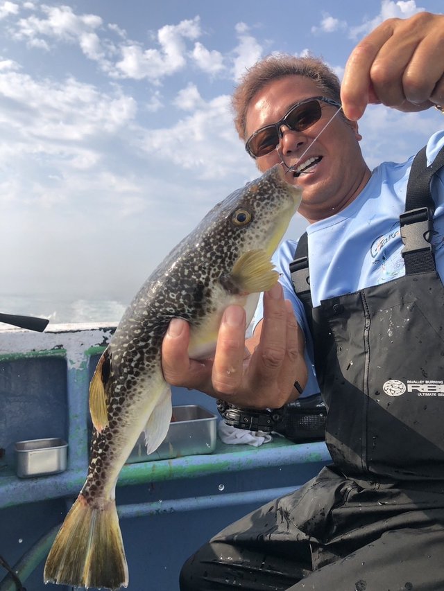 ショウサイフグ