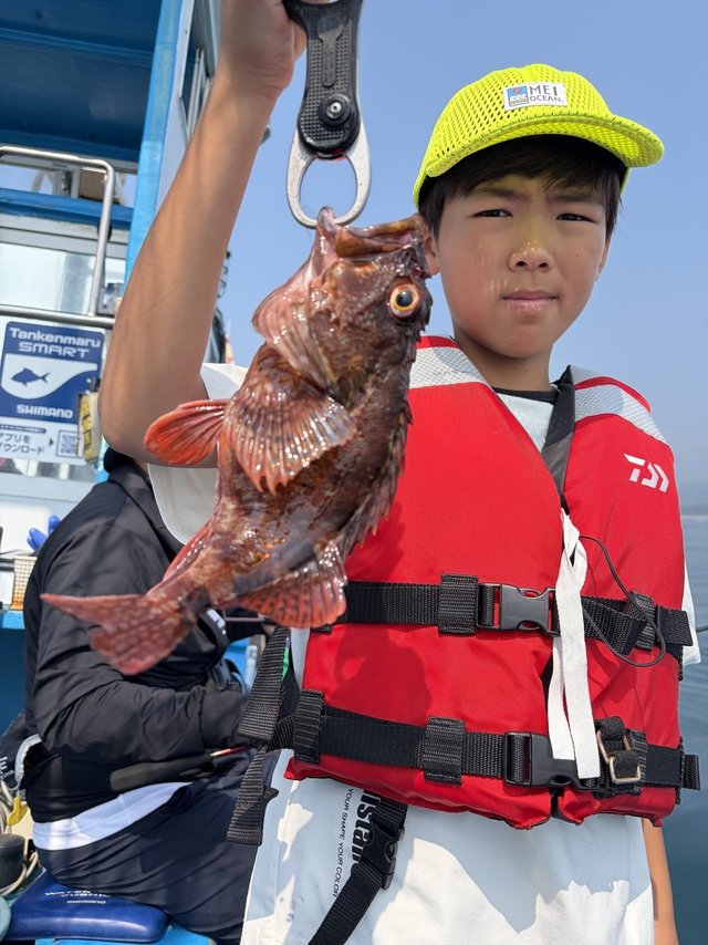 カサゴ