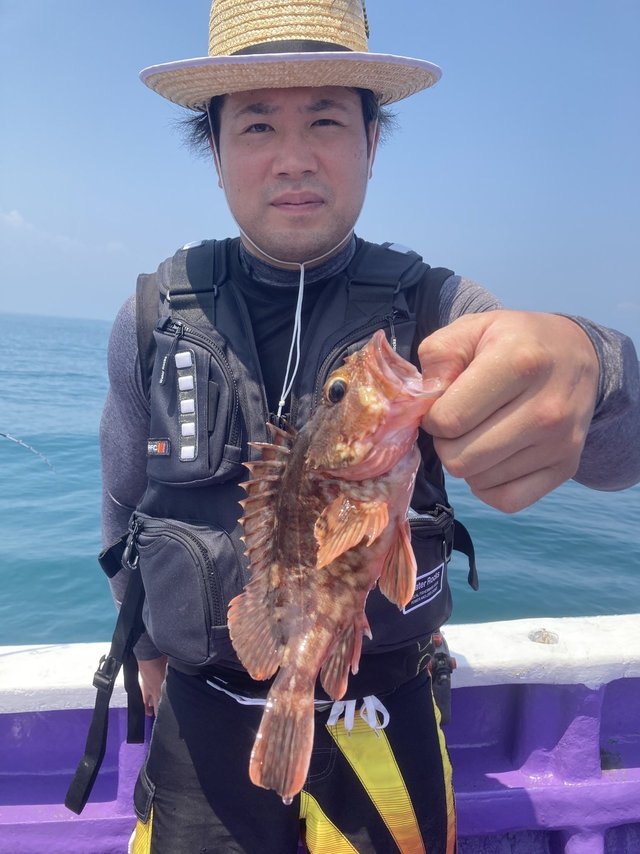 カサゴ
