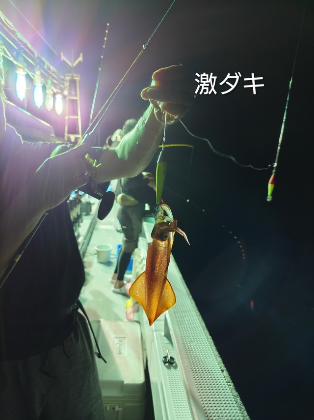 ヤリイカ
