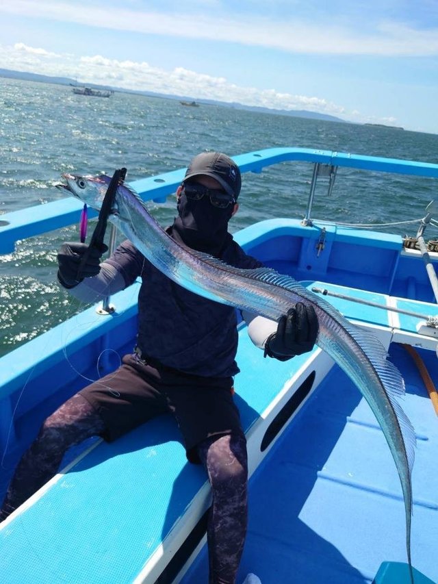 タチウオ