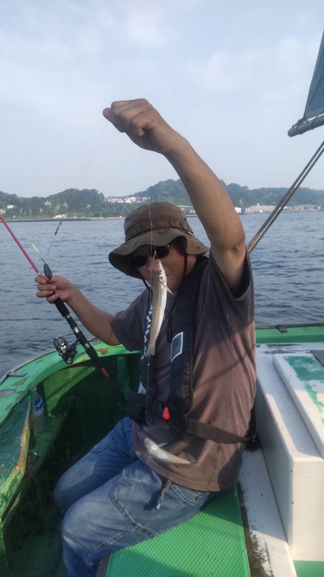 シロギス