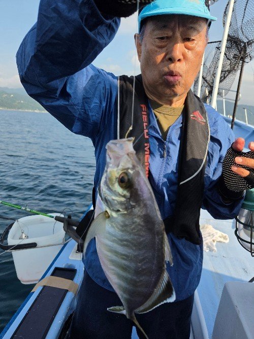 カイワリ