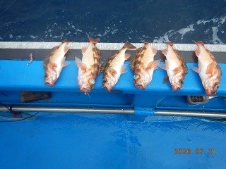 オキメバル(ウスメバル)