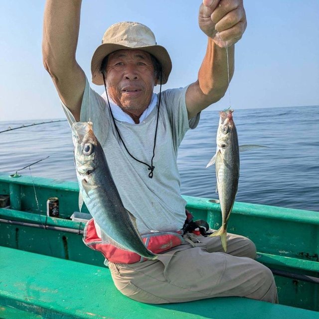 アジ(マアジ)
