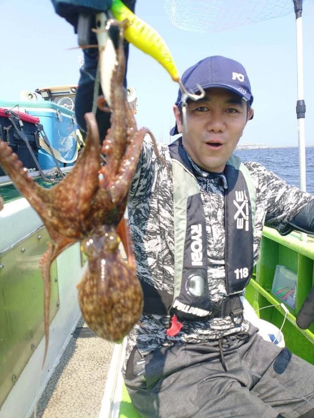 マダコ