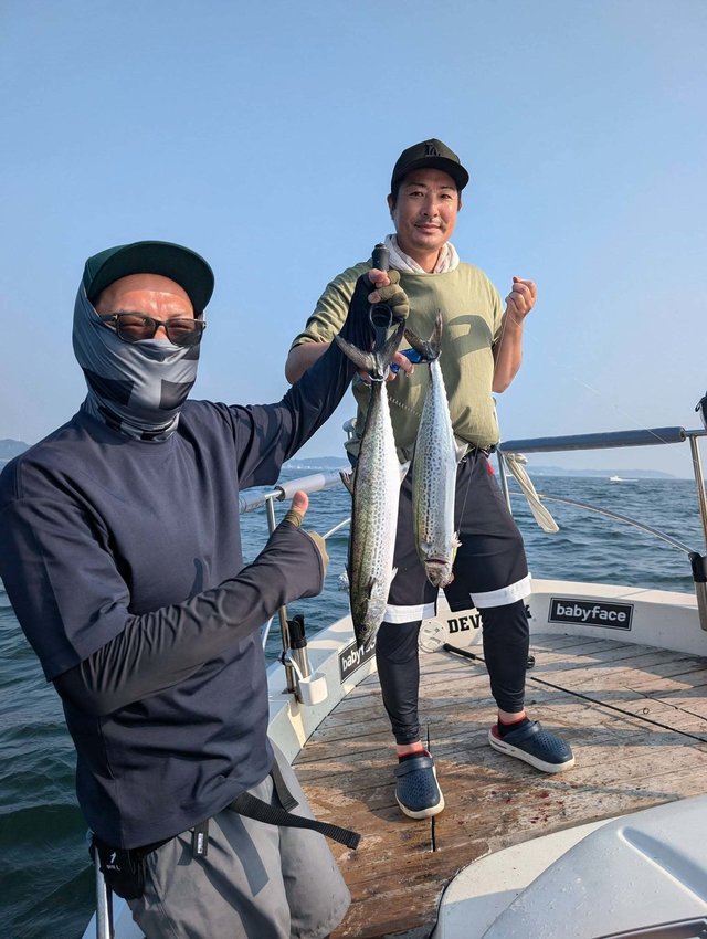東京都で釣れたサワラの最新釣果、釣り情報【2026年7月】