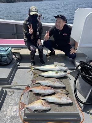 マダイ・ハマチ(ブリ)・イサキ