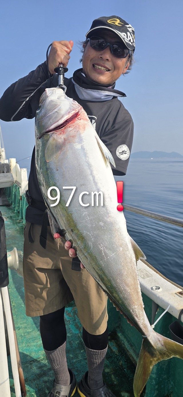 関西で釣れたヒラメの最新釣果、釣り情報【2026年7月】