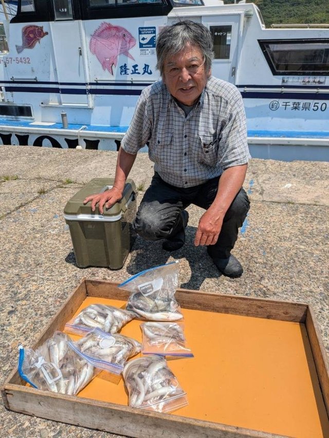シロギス
