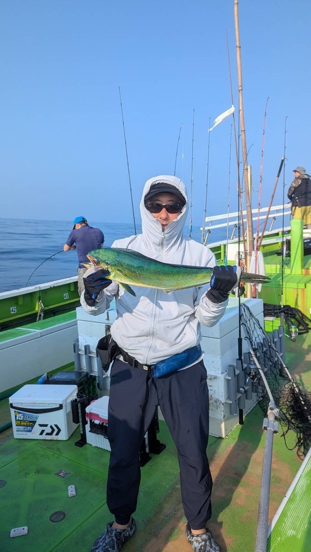 シイラ
